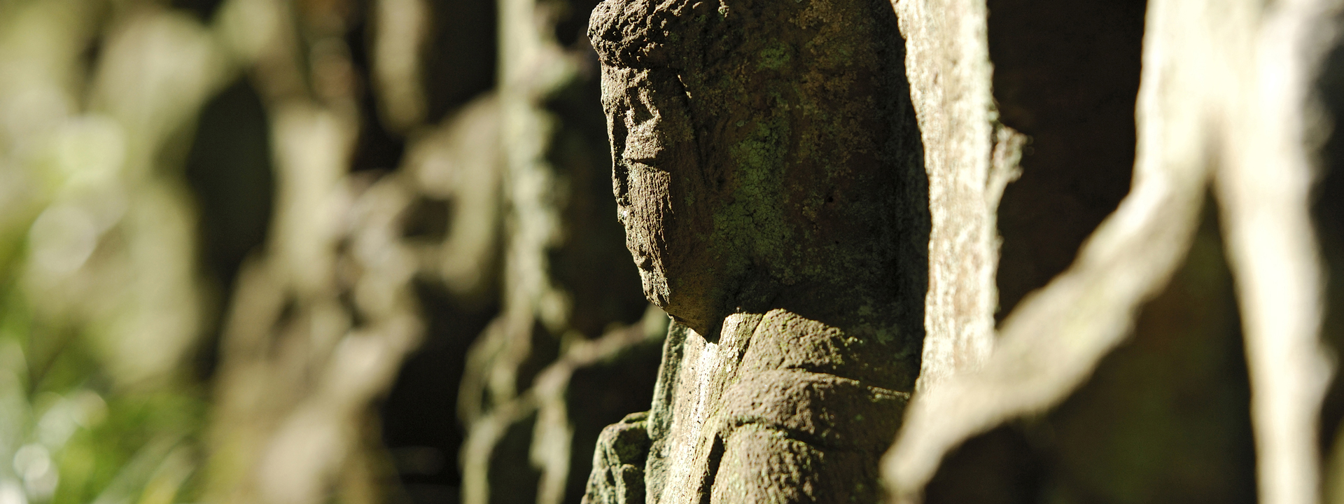 一般文化財（一般文化財の写真撮影・関連業務）のイメージ画像