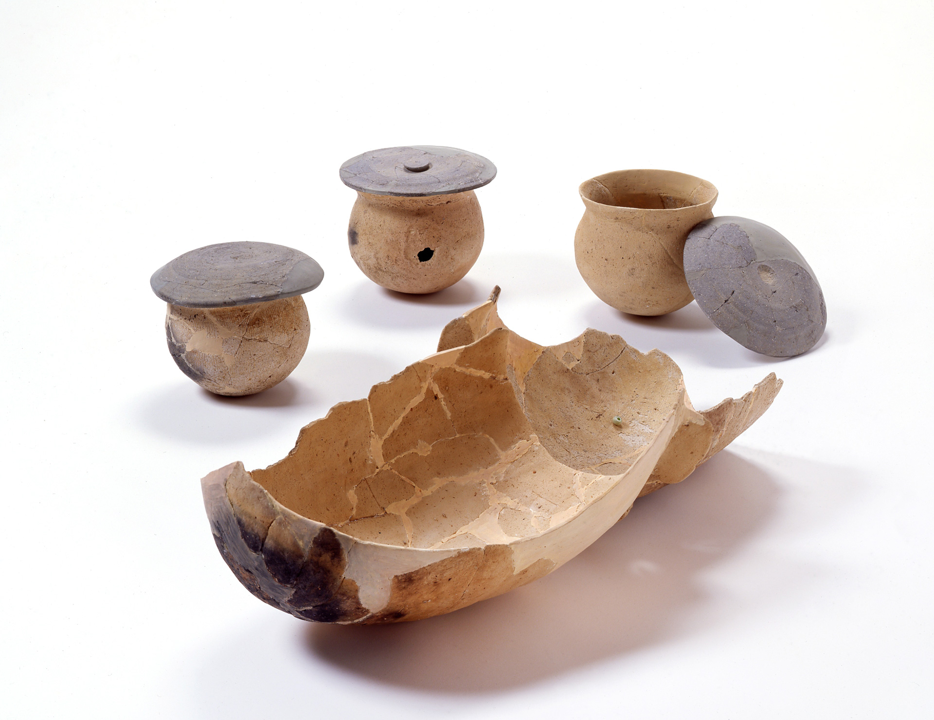 芝ヶ原・古宮・横道遺跡出土土器 城陽市教育委員会