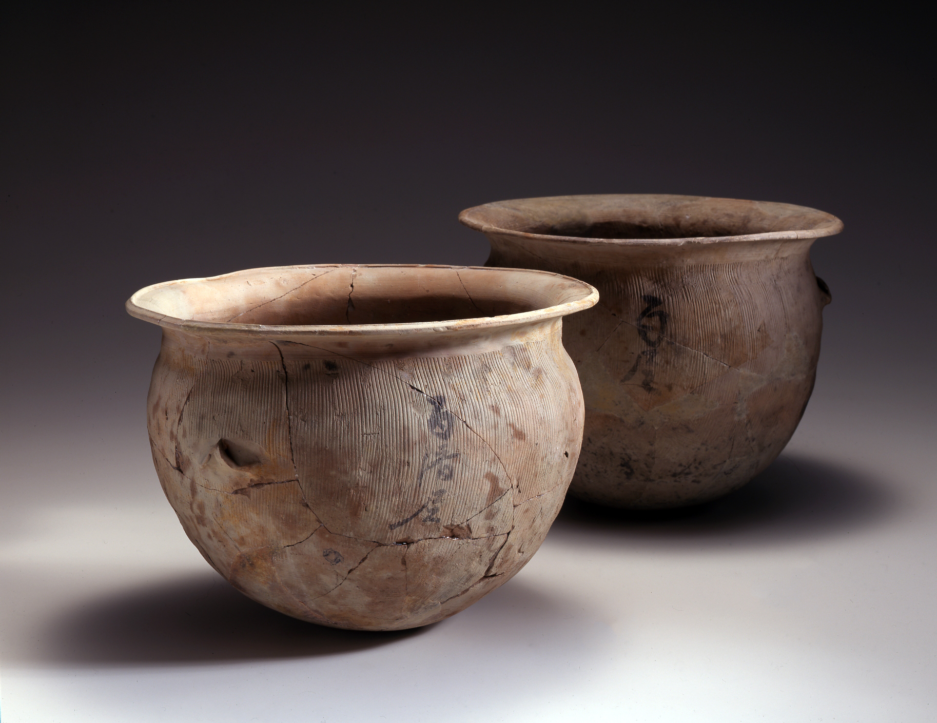 細工谷遺跡出土墨書土器（大阪市指定文化財） （旧）大阪市文化財協会