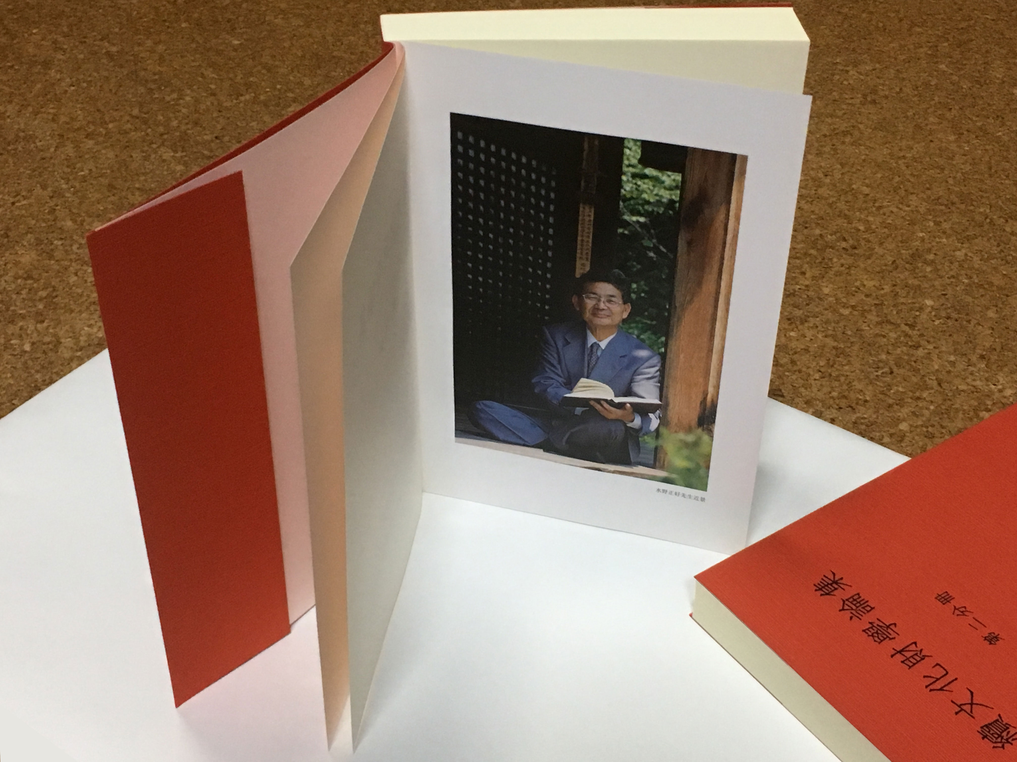 續文化財學論集 文化財學論集刊行会